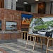 В Махачкале открылась персональная выставка художника-примитивиста Шапи Рабаданова