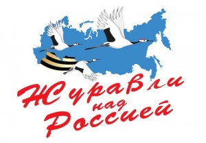 Молодежный фестиваль "Журавли над Россией"