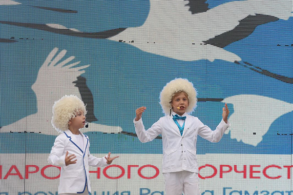 В день юбилея народного поэта Расула Гамзатова состоялся Фестиваль народного творчества «Журавли над Россией»